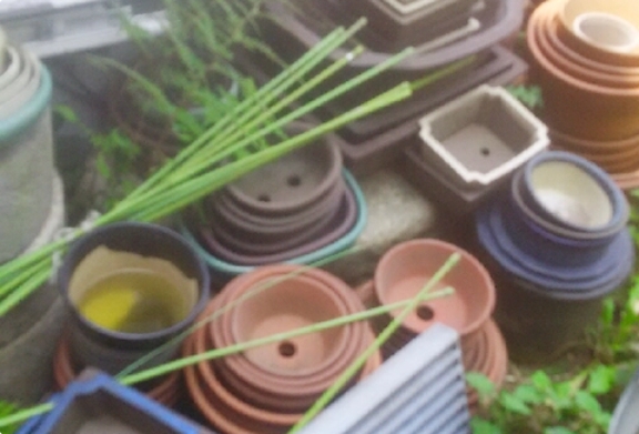 プランター、植木鉢、陶器鉢、テラコッタの回収・処分について