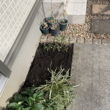 横浜市鶴見区　庭木抜根 のアフター画像