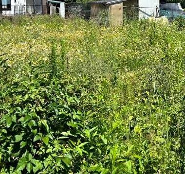 相模原市緑区　草刈り作業