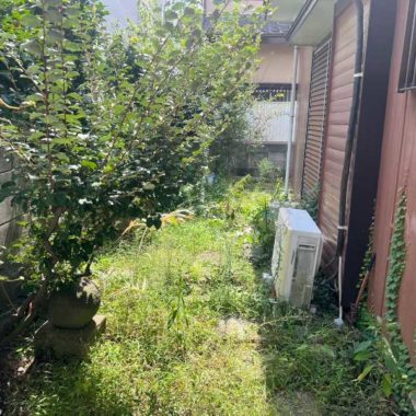 東京都練馬区　草刈・庭木剪定