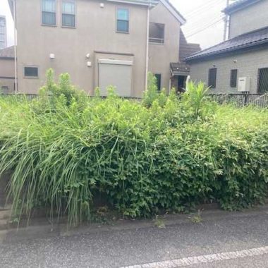 東京都足立区　草刈作業