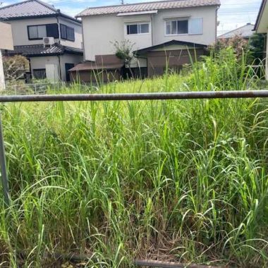 埼玉県川口市　草刈り作業 のビフォー画像