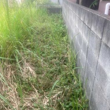 埼玉県川口市　草刈り作業