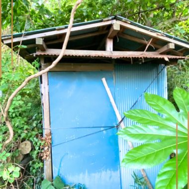 相続した土地の残置物・物置撤去
